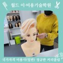 월드이·미용기술학원 티스토리