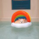 포레스트258 펜션 이미지