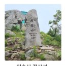 3/17[일]대구 앞산+합천 미숭산[1일2산] (명산100+)-산행안내/좌석표 이미지