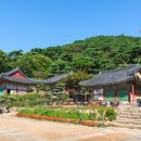 삼보카서비스 | 마니산 정상까지 빠르게 가는 법 (등산, 교통, 맛집)