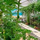 유)파파야 이미지