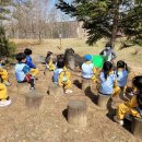 파주시유아숲체험원 이미지