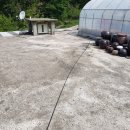 예지송정길 이미지