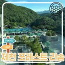 황토체험가온길 | 제천 숙소 추천 포레스트 리솜｜힐링 여행에 딱! S30 빌라동 리뷰