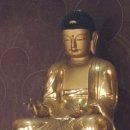 심광사 목조석가모니불좌상 | 보물 제1688호 진주 청곡사 목조석가여래삼존좌상