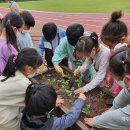 의귀초등학교 이미지
