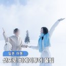 주식회사트리온 | 삿포로 여행 신발 경비 비에이 투어 꿀팁 1월 북해도 프라이빗 덕아웃 투어