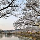 세븐일레븐김천교동점 이미지