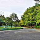 화정파크골프장 이미지