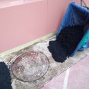 당산서중학교 이미지