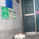 노송동 주민센터 네이버블로그