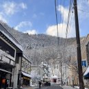 마천마을버스승강장 앞 | 삿포로에서 조잔케이 하나모미지 가는법 송영버스 갓파라이너 버스타는곳