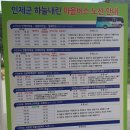 동산흑염소 | 2025 청촌맛공감 @인제 9차 후기