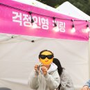 (주)와캠핑 | 남양 주(酒) 캠핑 페스티벌 후기 | 가족과 함께 즐긴 주말 힐링 페스티벌!