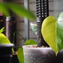 골드세탁 이미지