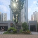 충무공초교 앞 이미지