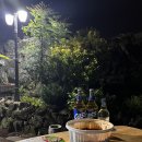 다복다복 이미지