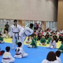 용인대수석태권도 이미지