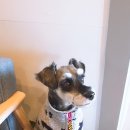 무지개파크 이미지