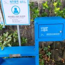 [김수성 칼럼](22) 제주올레길 7코스(제주올레여행자센터~서귀포 버스터미널) 걷기 이미지