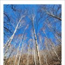 치악산둘레길 4코스 노구소길 이미지