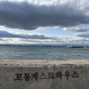 꼬동게스트하우스