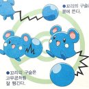 루리리