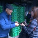 2행운농장 이미지