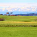 다라플란트치과의원 이미지