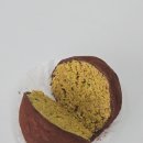 에스에스헬스장 이미지