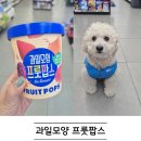 지에스25(GS25) 광주직동점 | GS25 강아지 알바랑 과일모양 프룻팝스 편의점 탐방기