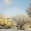 바람이 불어오는 곳 이미지