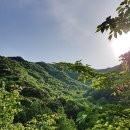 고산자연휴양림 이미지