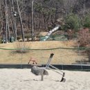 신기한놀이터 화장실 이미지