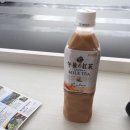 일본 미야자키 가볼만한곳 모아이석상 선멧세니치난 버스 타고 갔다온 후기