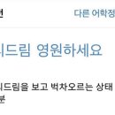 에잇드림