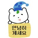 [태국한달살이 1월 일대기_27_브런치 기행과 유미의 세포들 촬영 후기(태국 꽃 축제)]