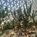 거제식물원 이미지