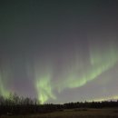 싼타PC | 10월 12일 [알래스카 여행] &#34;페어뱅크스 오로라 체이싱 투어&#34; [자유 힐링 가족 신혼 허니문: 개썰매...