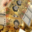 금화플라워 - 김해시 금관대로804번길 73-12 | 금화플라워
