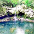 원앙목장 이미지