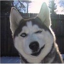 로미오치과교정과치과의원 이미지