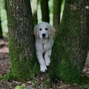 용죽3로 이미지