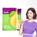 테일러팜스 - 고양시 일산동구 일산로 142 | 테일러팜스