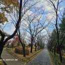 비둘기근린공원 이미지