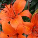 고향산천농장 이미지