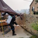 버그헌터119