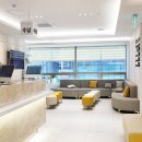 동백에이스의원 이미지