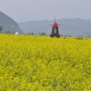 낙동강변18 이미지