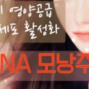 버드내코아 이미지